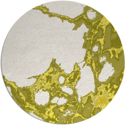 decay rug - item 1298835