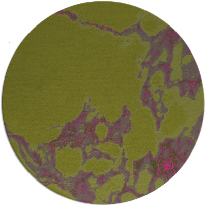 decay rug - item 1298887