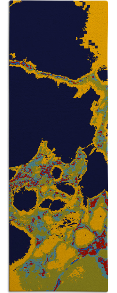 decay rug - item 1298940