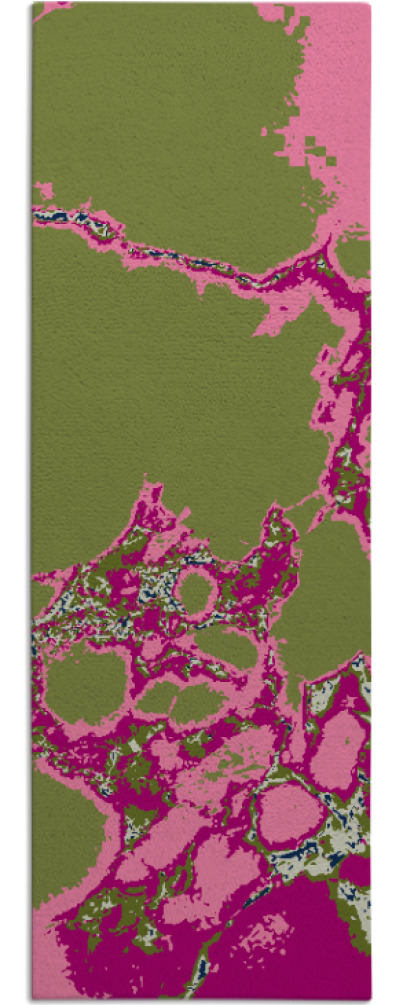 decay rug - item 1298952