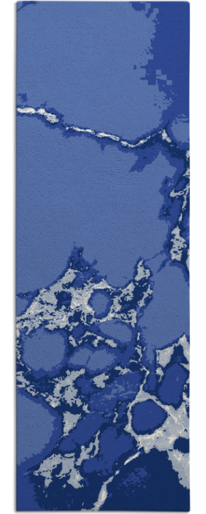 decay rug - item 1298955