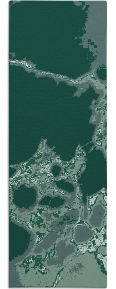 decay rug - item 1298965