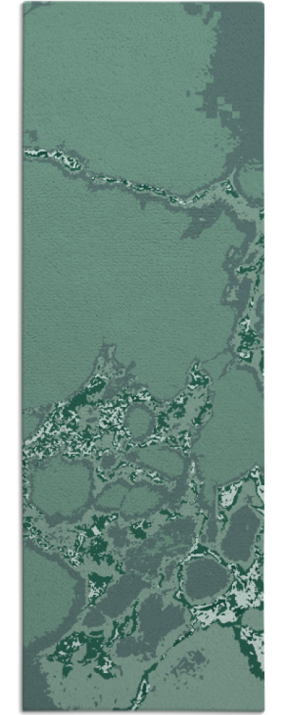 decay rug - item 1298966