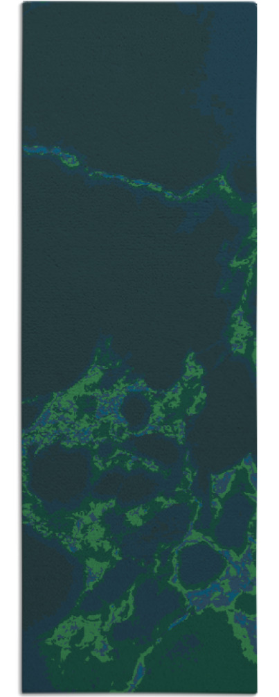 decay rug - item 1298972