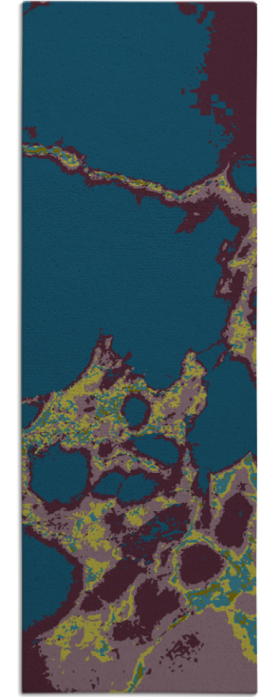 decay rug - item 1298983