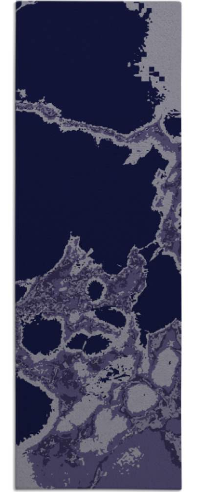 decay rug - item 1298991