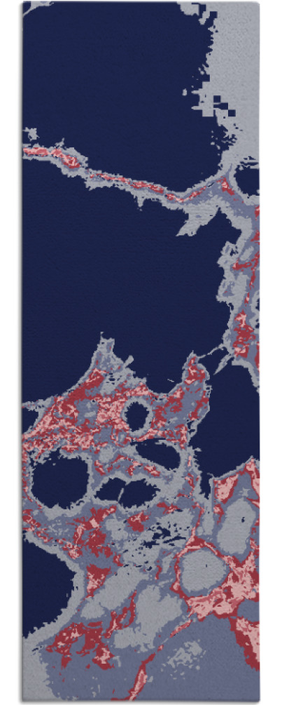 decay rug - item 1298999