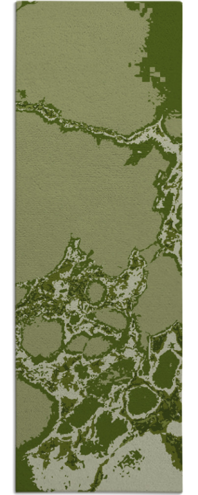 decay rug - item 1299037