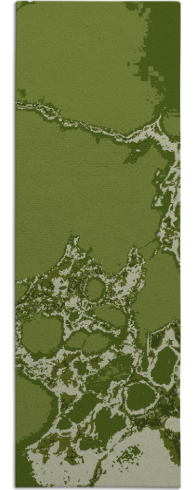 decay rug - item 1299038