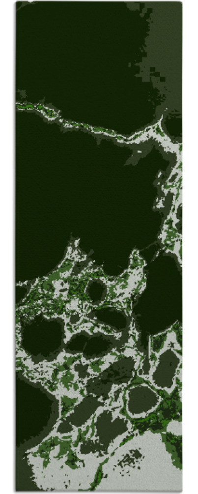 decay rug - item 1299052