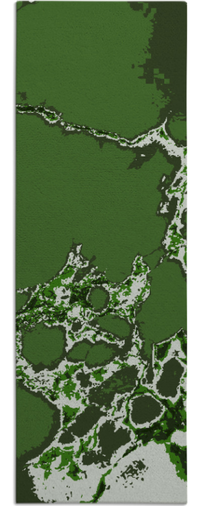 decay rug - item 1299053