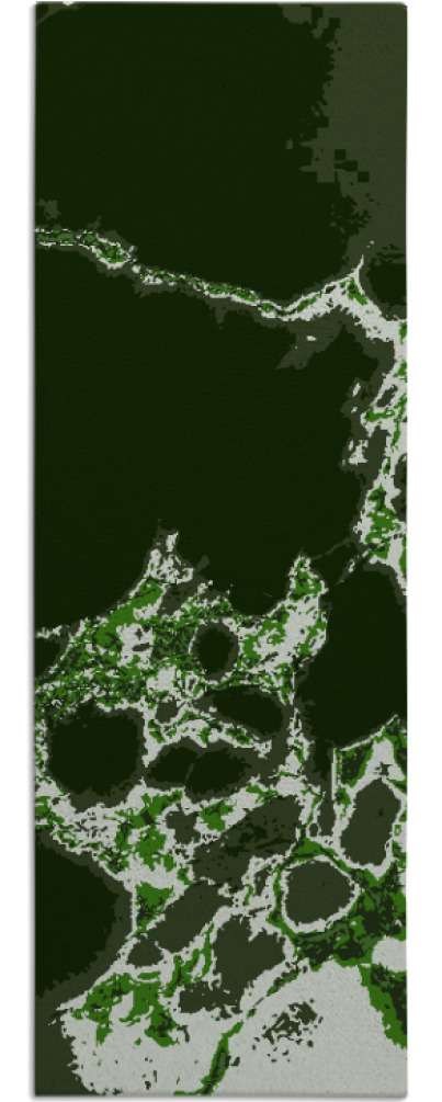 decay rug - item 1299054