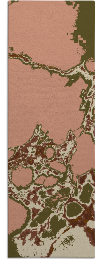 decay rug - item 1299061