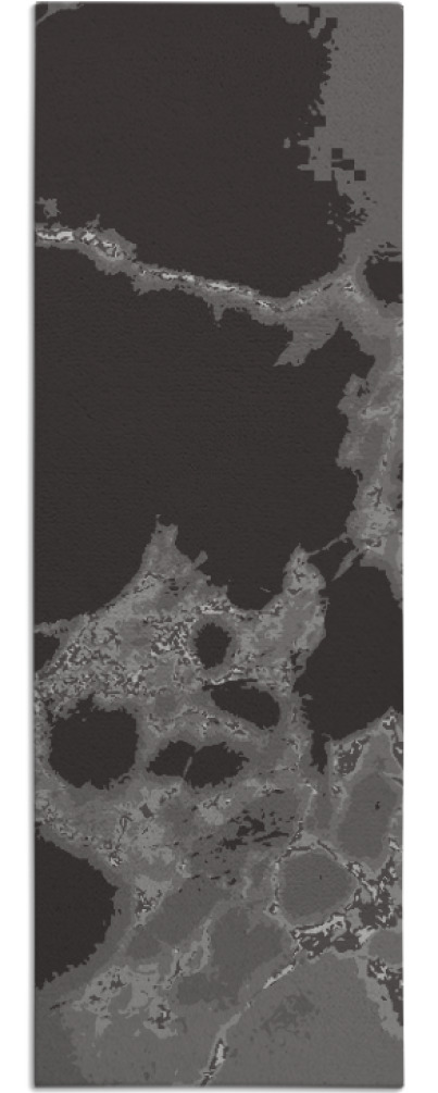 decay rug - item 1299104