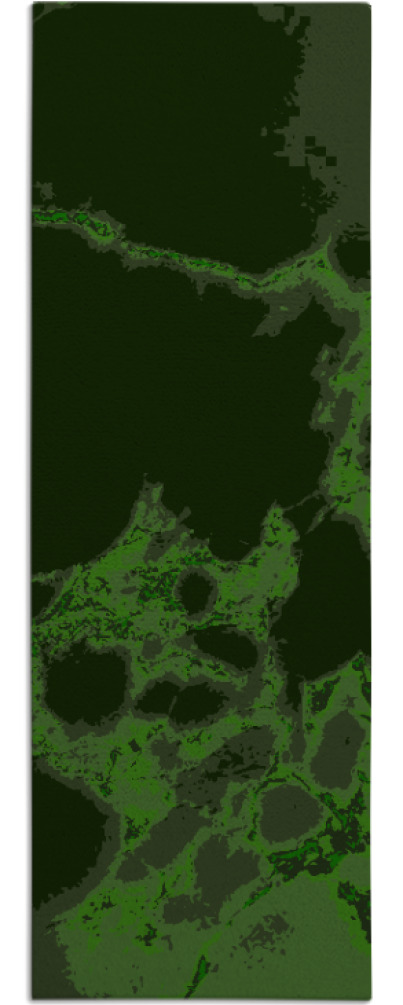 decay rug - item 1299116