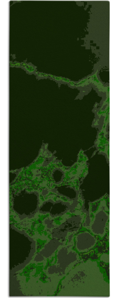 decay rug - item 1299118