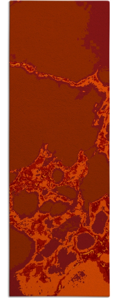 decay rug - item 1299173