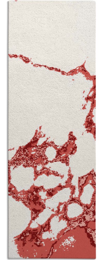 decay rug - item 1299176