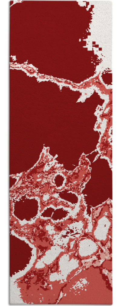 decay rug - item 1299177