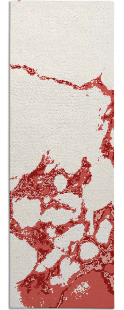 decay rug - item 1299178