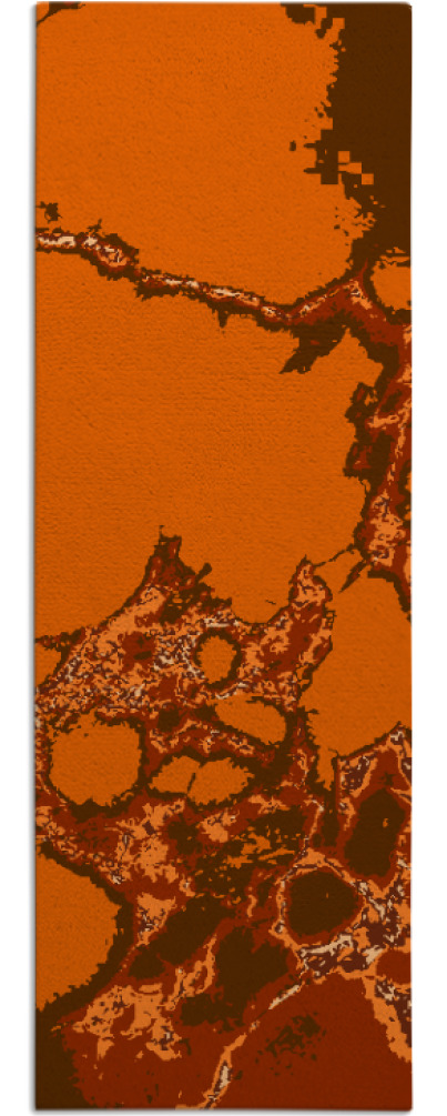 decay rug - item 1299187