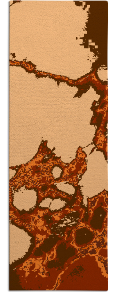 decay rug - item 1299188