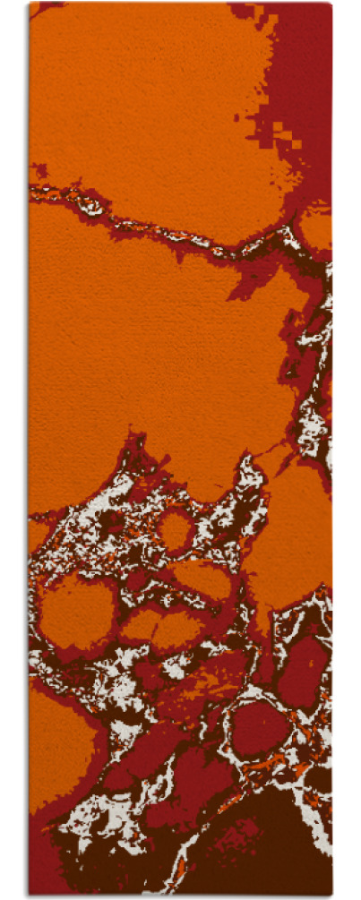 decay rug - item 1299198