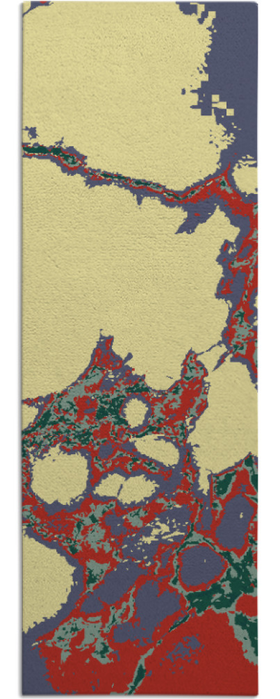 decay rug - item 1299243