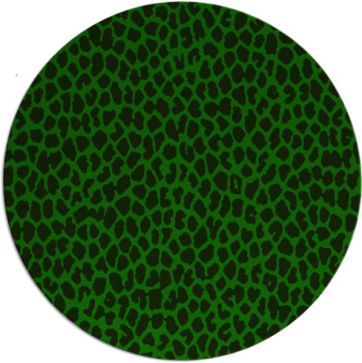 aluba rug - item 1591070