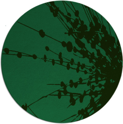 ibis rug - item 1592653