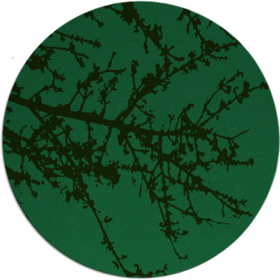 spruce rug - item 1594333