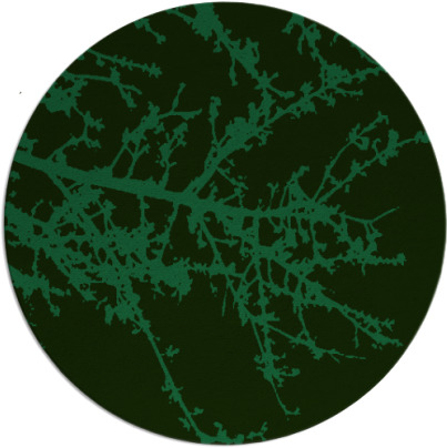 spruce rug - item 1594334