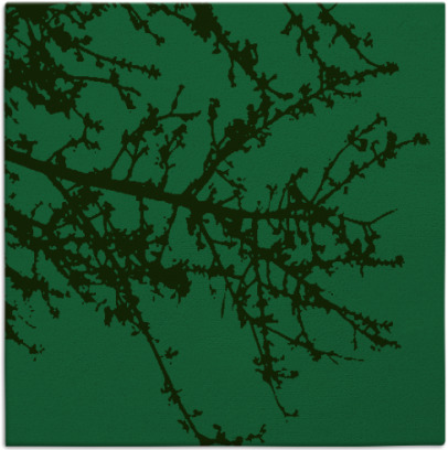 spruce rug - item 1594341