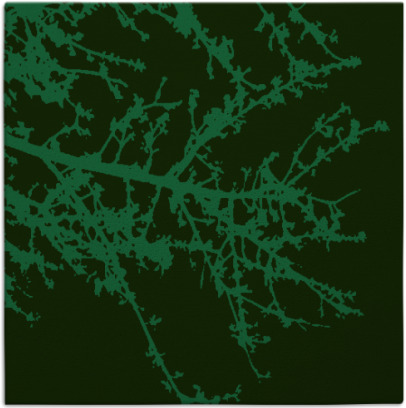 spruce rug - item 1594342