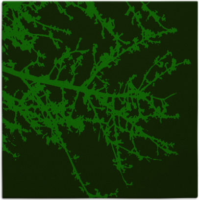 spruce rug - item 1594344