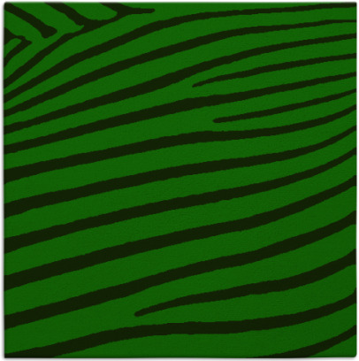 zebra rug - item 1594784