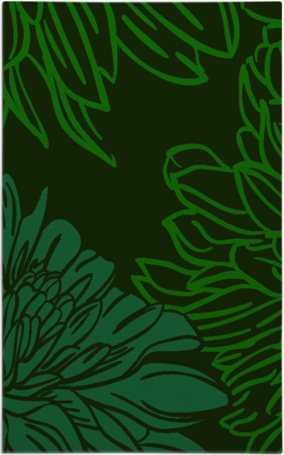 asha rug - item 1595049