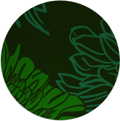 asha rug - item 1595055