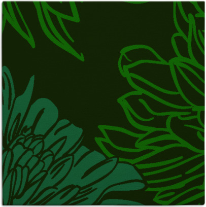 asha rug - item 1595061