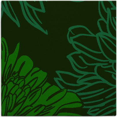 asha rug - item 1595063