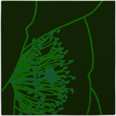 i spy rug - item 1595602