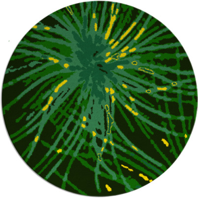 wish rug - item 1596274