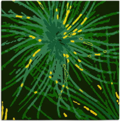 wish rug - item 1596282