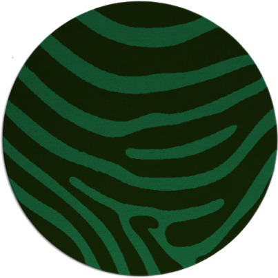 proud zebra rug - item 1599373