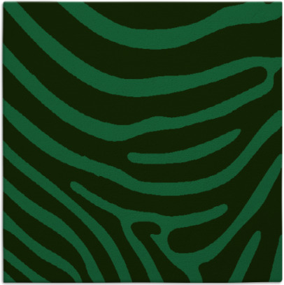 proud zebra rug - item 1599381