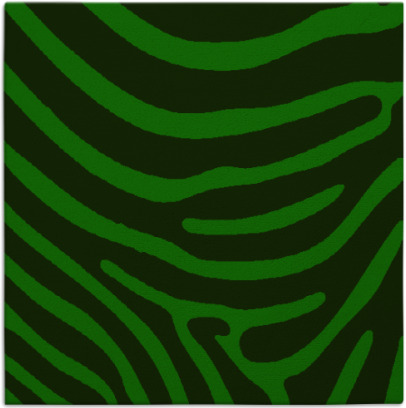 proud zebra rug - item 1599383