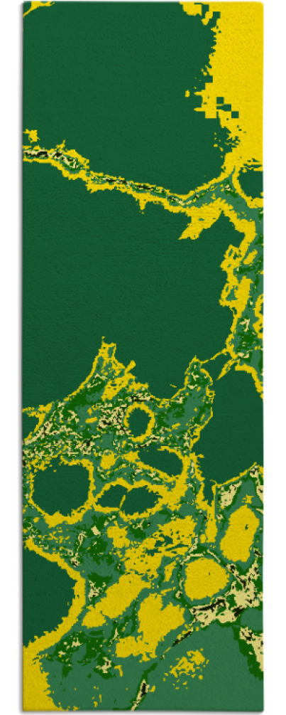 decay rug - item 1600317