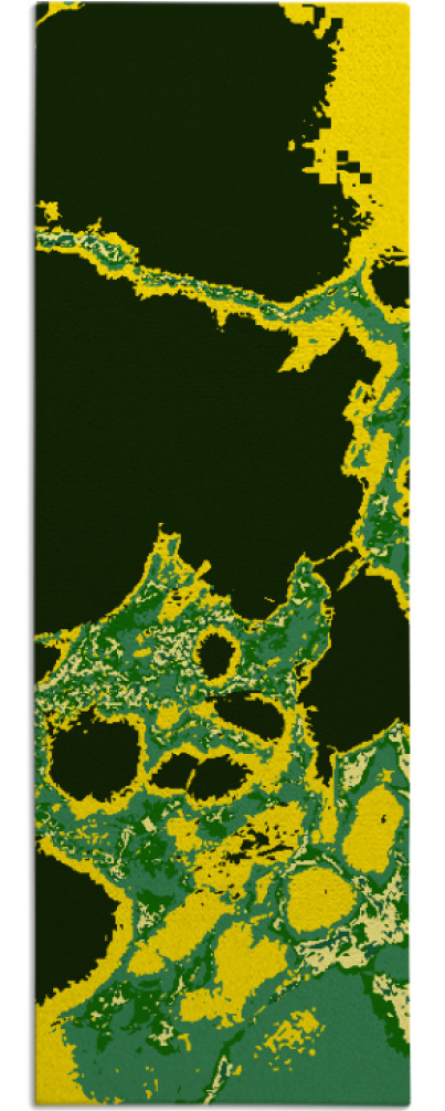 decay rug - item 1600318