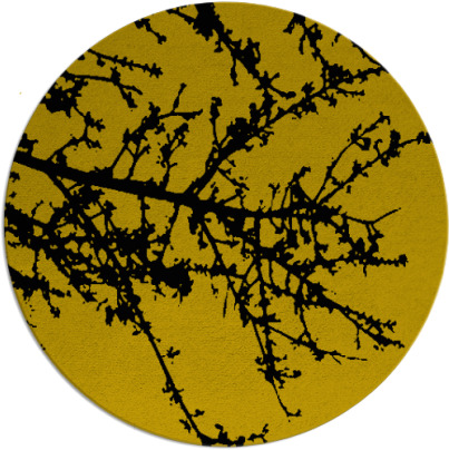 spruce rug - item 1630821