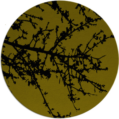 spruce rug - item 1630823